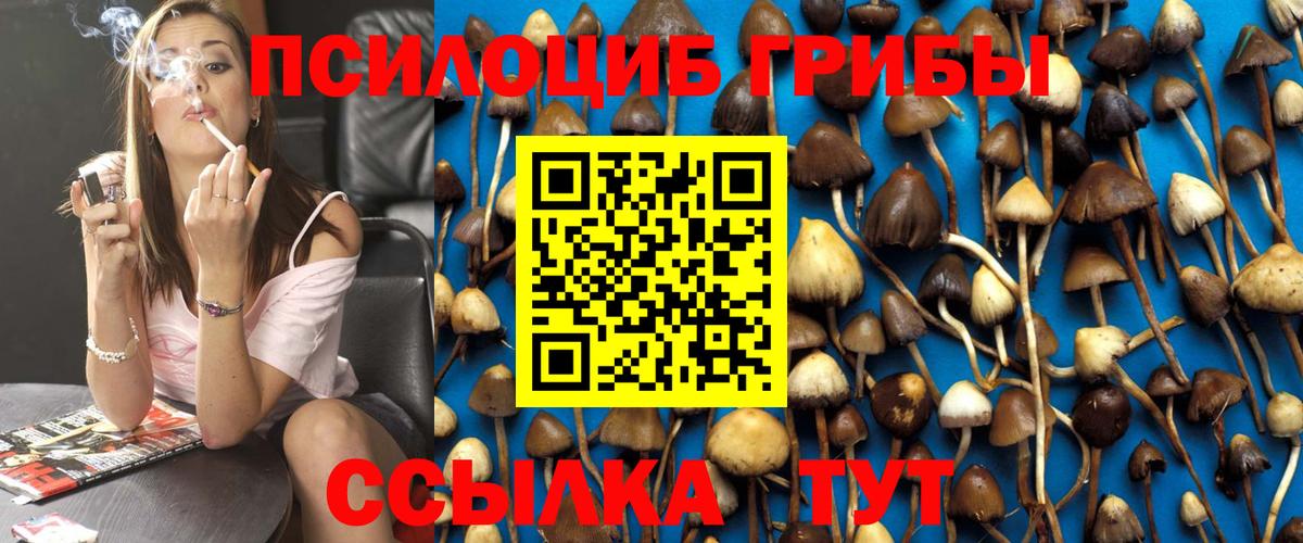 Ноябрьск  Псилоцибиновые грибы MAGIC MUSHROOMS  Псилоцибиновые грибы Magic Shrooms  Вход с VPN 